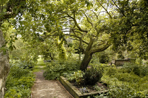 The Chelsea Physic Garden | Kris Waldherr Art and Words